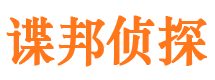 镇平市场调查